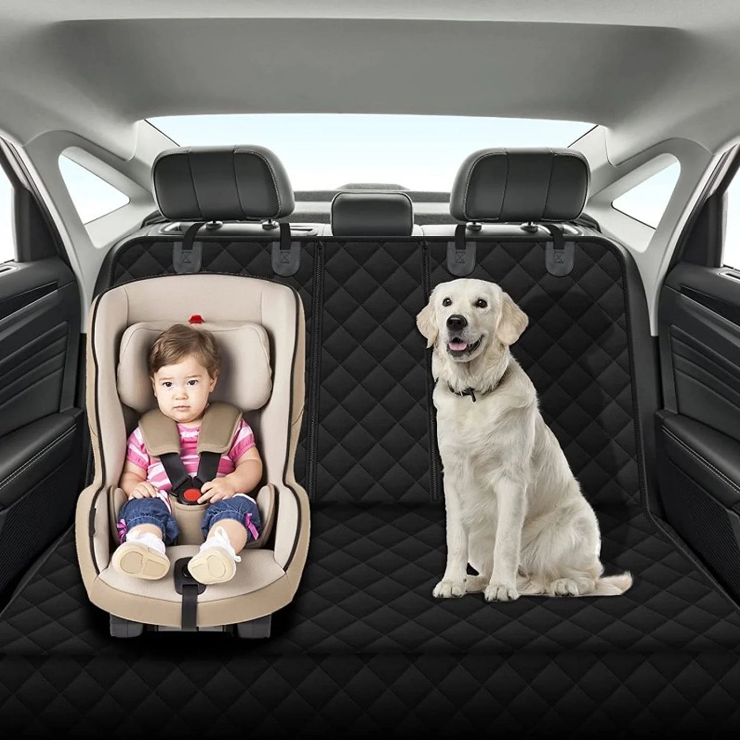 Pet & Air freshener auto essentials