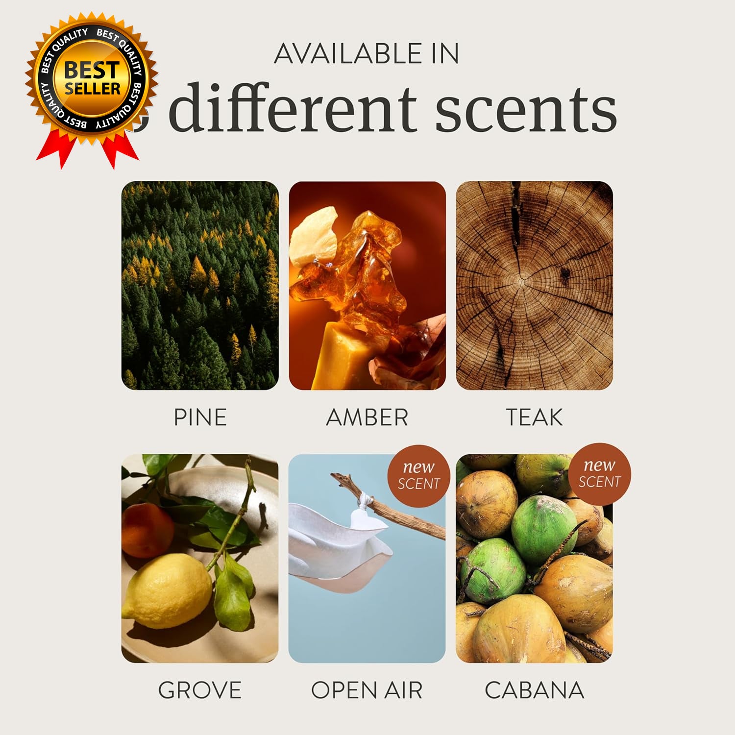 Car Air Freshener Wood Air Freshener Car Odor Eliminator Teak Scent Starter Kit