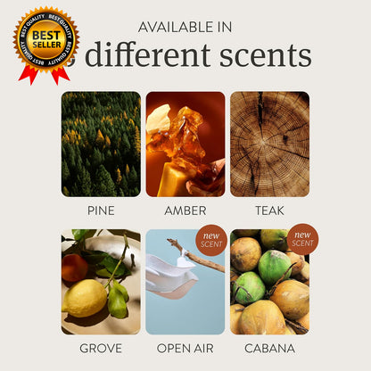 Car Air Freshener Wood Air Freshener Car Odor Eliminator Teak Scent Starter Kit