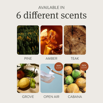 Car Air Freshener - Stone Air Freshener - Car Odor Eliminator - Amber Scent Starter Kit